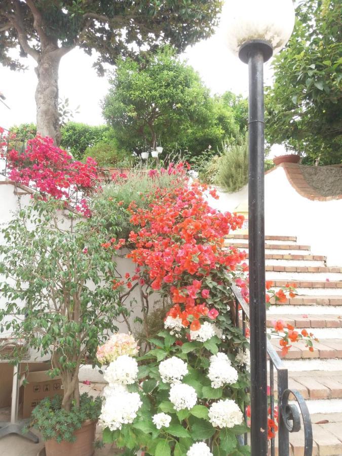 Gromano Apartments Ischia Exterior photo