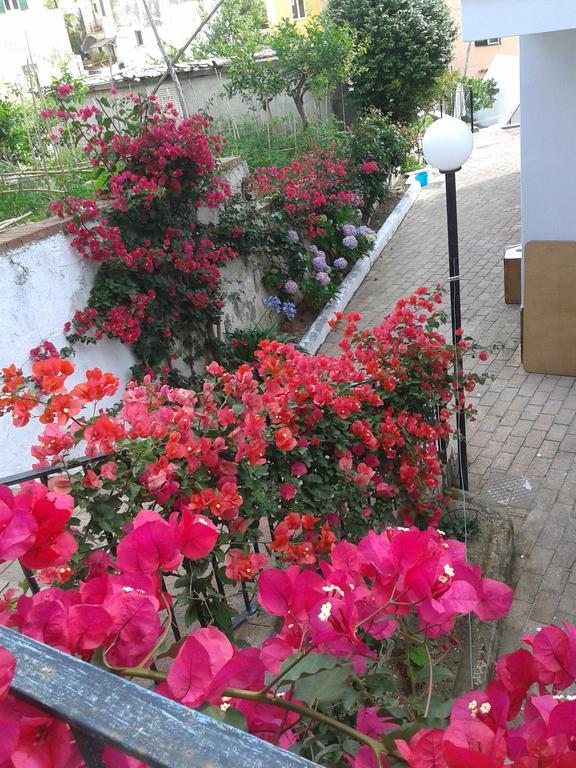 Gromano Apartments Ischia Exterior photo
